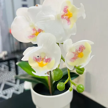 Διαμέρισμα Laurent *