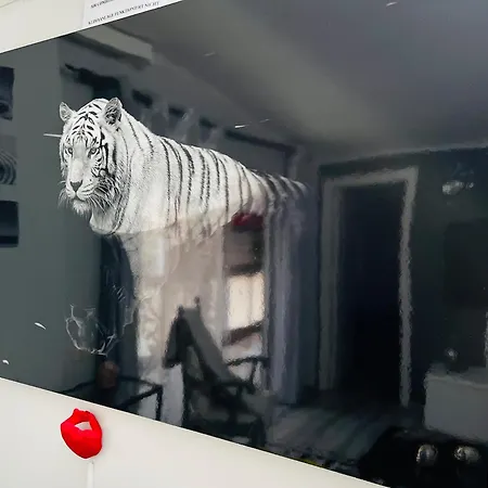 Laurent Διαμέρισμα Σάντα Κρουζ Τενερίφης