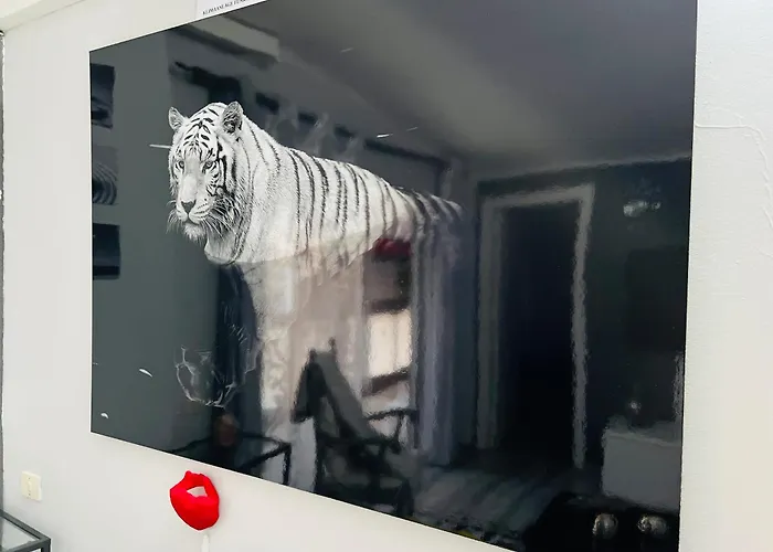 Laurent Apartman Santa Cruz de Tenerife